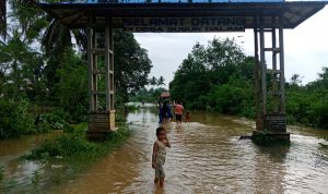 66922153_637767053376008_5074643128833540096_n