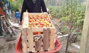 FB_IMG_1568731499722